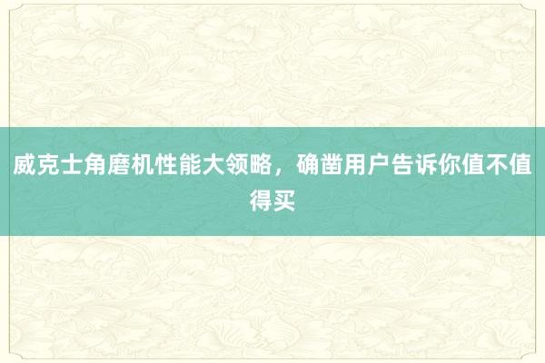 威克士角磨机性能大领略，确凿用户告诉你值不值得买