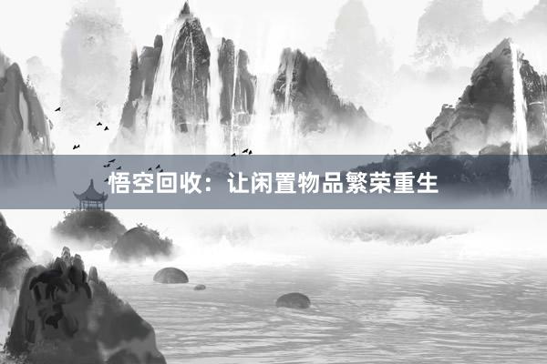 悟空回收：让闲置物品繁荣重生